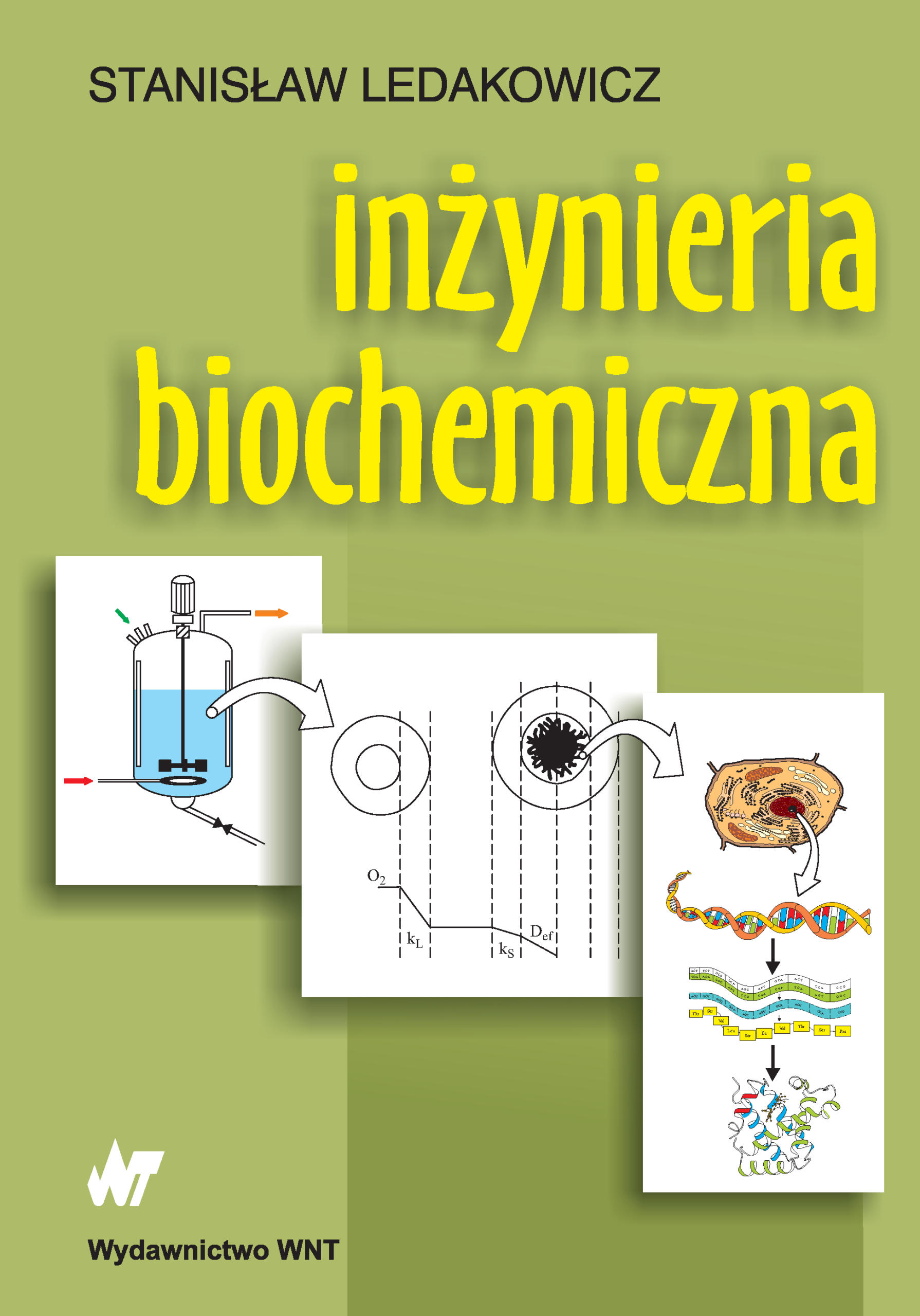 Inżynieria biochemiczna — okładka e-booka