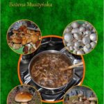 Tytuł: Jadalne gatunki grzybów źródłem substancji dietetycznych i leczniczych
Autor: Bożena Muszyńska
Wydawnictwo: Zakład Optymalizacji Zawodowej Ośrodek UMEA
Formaty: PDF