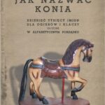 Jak nazwać konia. — okładka e-booka