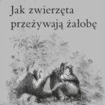 Tytuł: Jak zwierzęta przeżywają żałobę
Autor: Barbara J. King
Wydawnictwo: Purana
Formaty: MOBI, EPUB