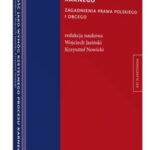 Jawność jako wymóg rzetelnego procesu karnego — okładka e-booka