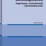 Jednostki sektora samorządowego. Organizacja, rachunkowość i sprawozdawczość — okładka e-booka