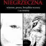 Jestem niegrzeczna — okładka e-booka