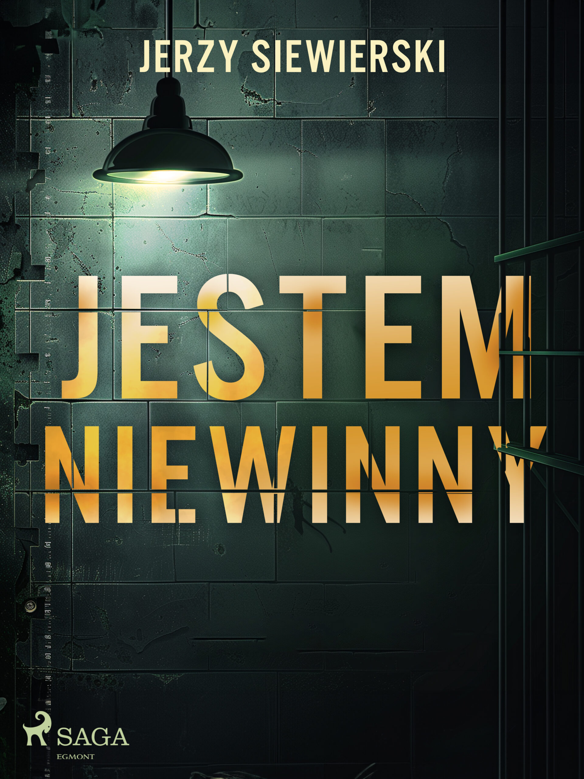 Jestem niewinny — okładka e-booka