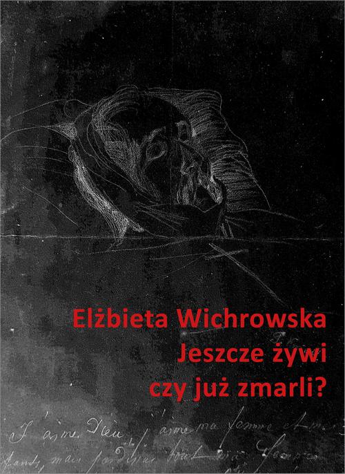 Tytuł: Jeszcze żywi czy już zmarli? Dziewiętnastowieczne dokumentacje emigracyjnego umierania
Autor: Elżbieta Wichrowska
Wydawnictwo: Słowo/Obraz Terytoria
Formaty: MOBI, EPUB