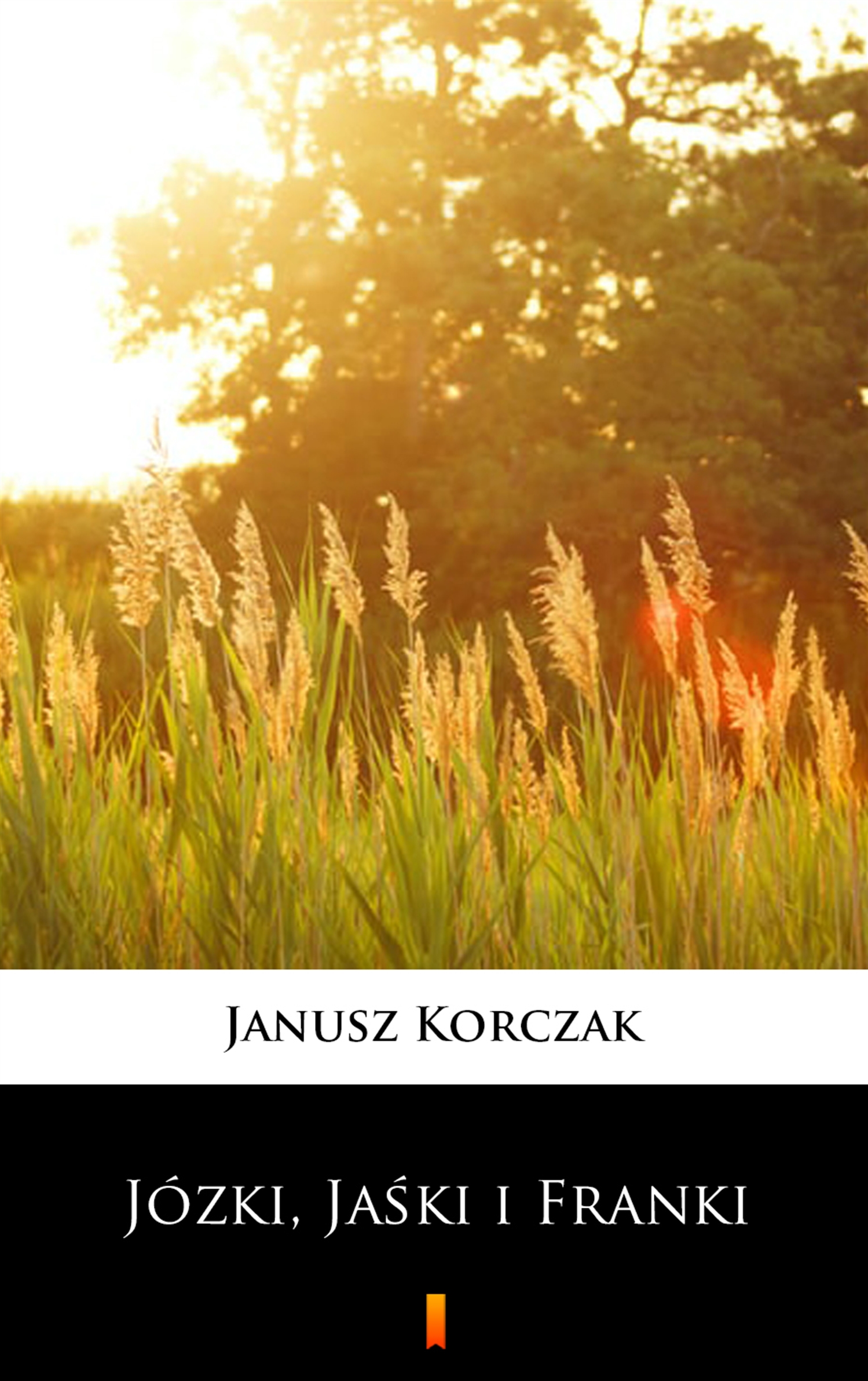 Tytuł: Józki, Jaśki i Franki
Autor: Janusz Korczak
Wydawnictwo: KtoCzyta.pl
Formaty: EPUB, MOBI