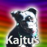Tytuł: Kajtuś rusza w świat
Autor: Monika Sawicka
Wydawnictwo: Wydawnictwo e-bookowo
Formaty: PDF