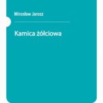 Kamica żółciowa — okładka e-booka