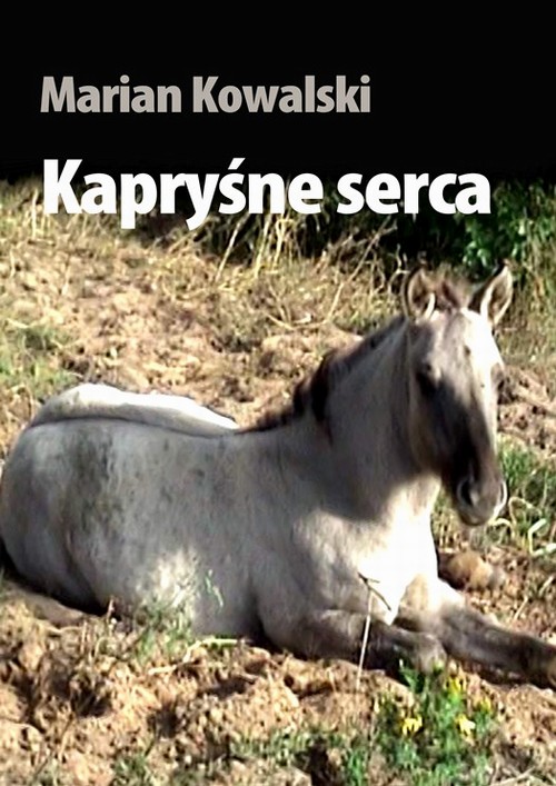 Tytuł: Kapryśne serca
Autor: Marian Kowalski
Wydawnictwo: Wydawnictwo e-bookowo
Formaty: MOBI, PDF, EPUB