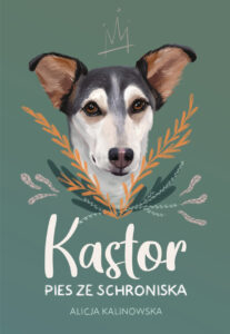 Kastor. Pies ze schroniska — okładka e-booka