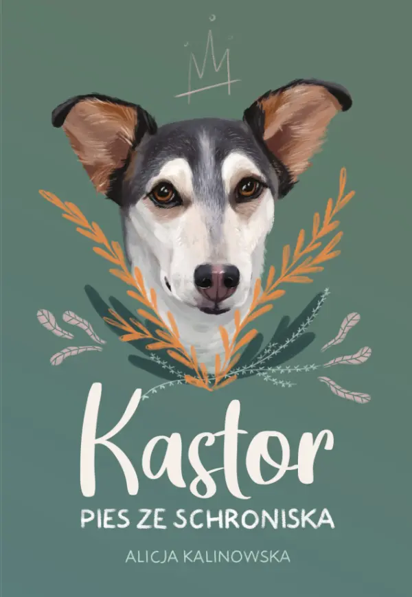 Kastor. Pies ze schroniska — okładka