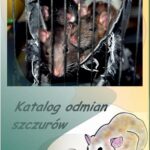 Katalog odmian szczurów — okładka e-booka