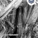Tytuł: Katastrofa Polska i Rosja 100 lat po Rapallo
Autor: Prof. dr hab. Witold Modzelewski
Wydawnictwo: Instytut Studiów Podatkowych Modzelewski i Wspólnicy
Formaty: PDF