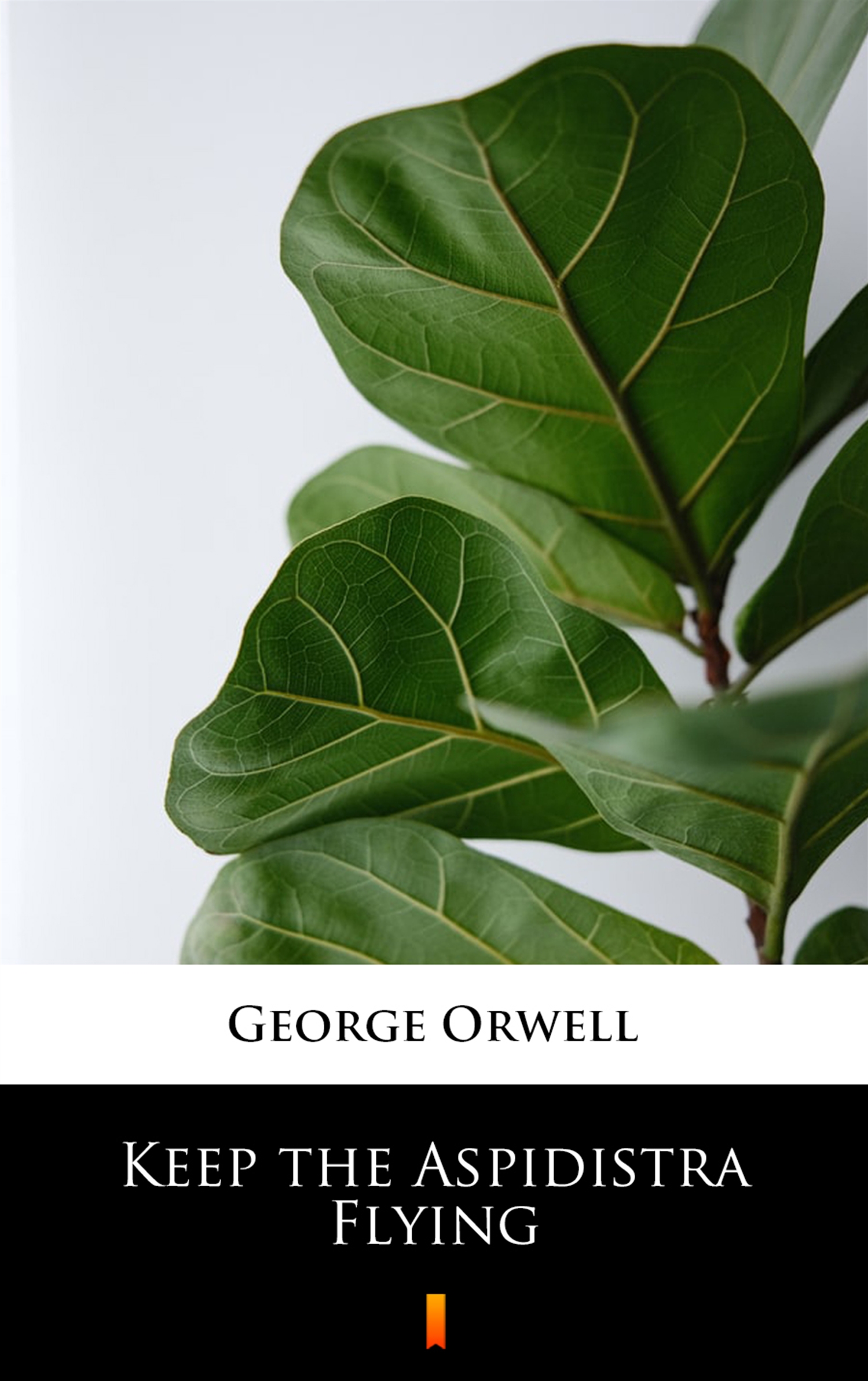 Tytuł: Keep the Aspidistra Flying
Autor: George Orwell
Wydawnictwo: KtoCzyta.pl
Formaty: EPUB, MOBI