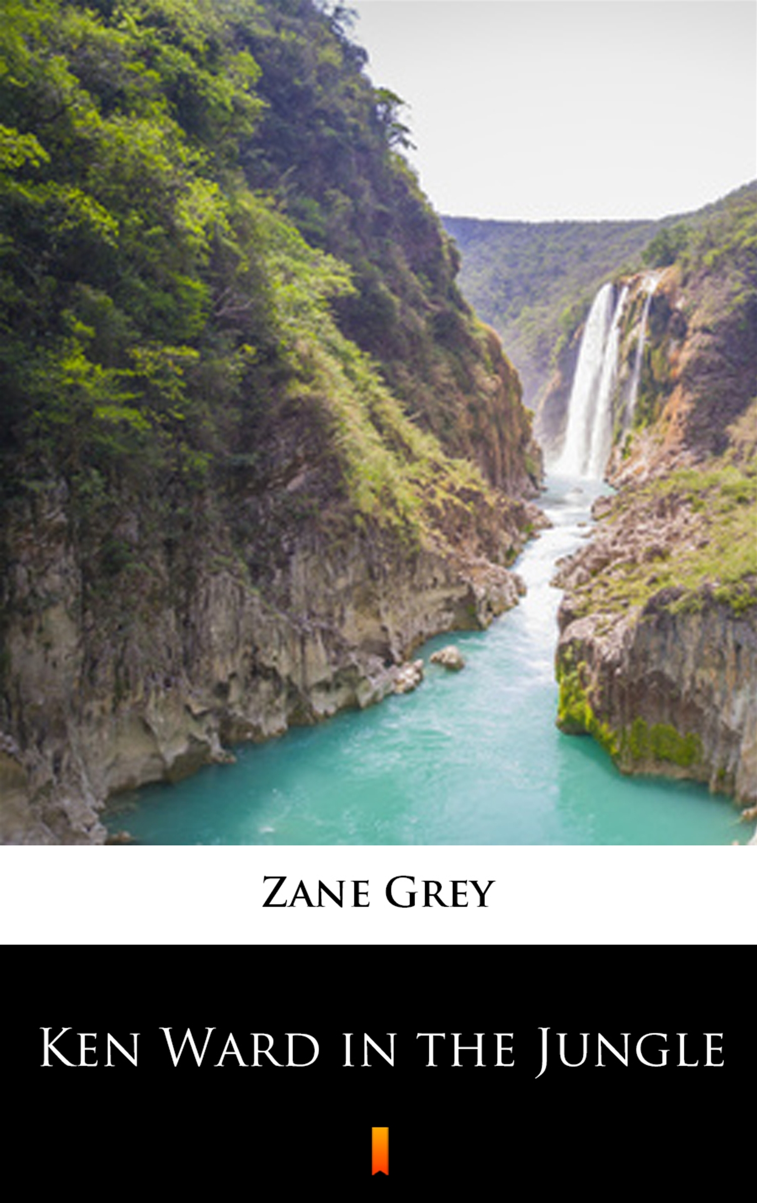 Tytuł: Ken Ward in the Jungle
Autor: Zane Grey
Wydawnictwo: KtoCzyta.pl
Formaty: EPUB, MOBI