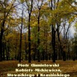 Kobiety Mickiewicza, Słowackiego i Krasińskiego — okładka e-booka