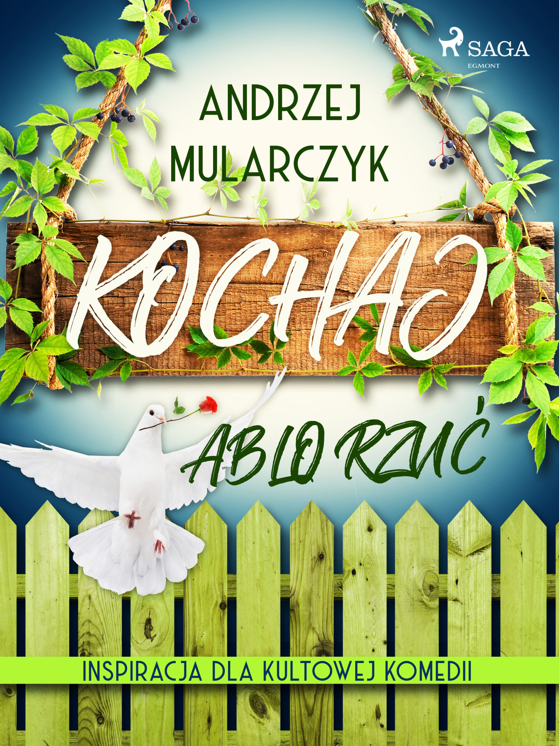 Kochaj albo rzuć — okładka e-booka