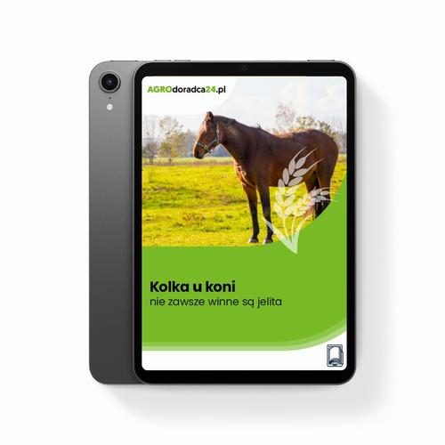 Tytuł: Kolka u koni – nie zawsze winne są jelita
Autor: Kinga Szczepanik
Wydawnictwo: Oficyna Prawa Polskiego
Formaty: PDF