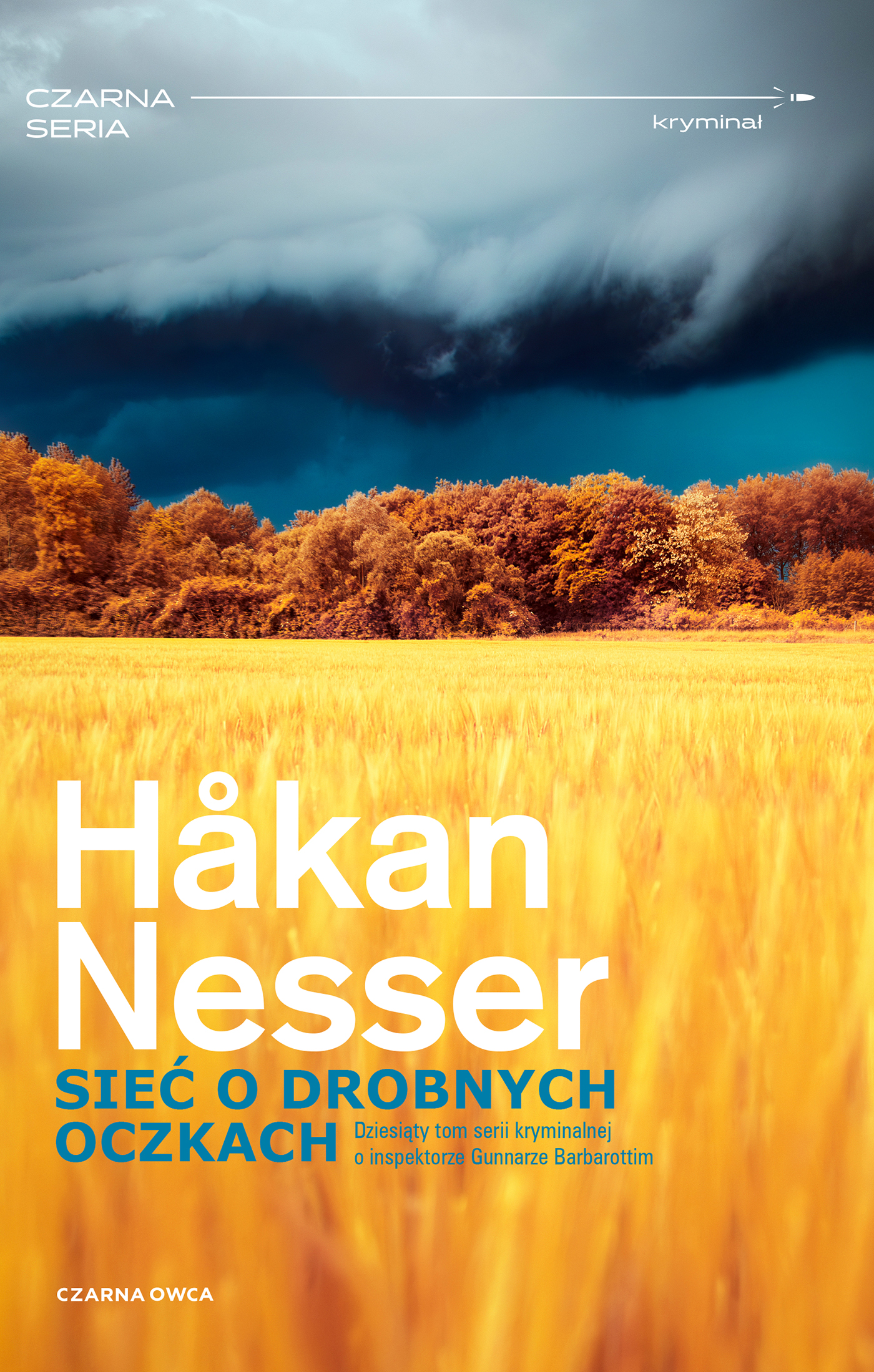Tytuł: Komisarz Barbarotti (tom 10). Sieć o drobnych oczkach
Autor: Håkan Nesser
Wydawnictwo: Wydawnictwo Czarna Owca
Formaty: EPUB, MOBI