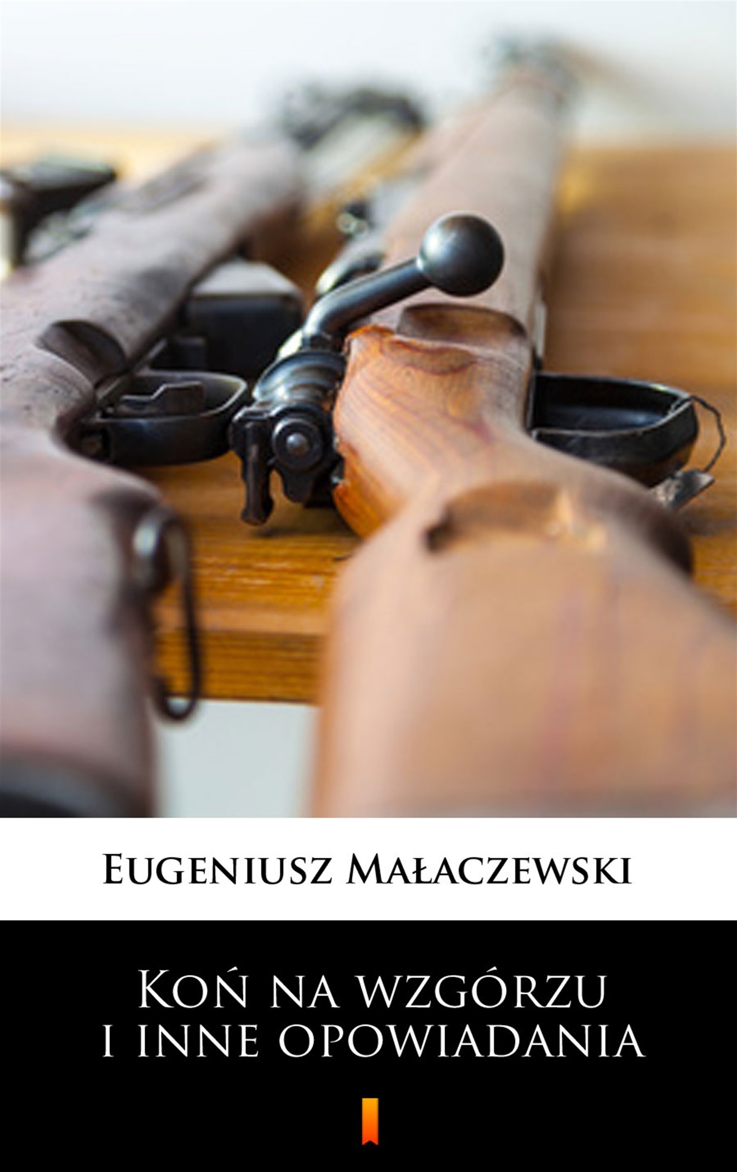 Tytuł: Koń na wzgórzu i inne opowiadania
Autor: Eugeniusz Małaczewski
Wydawnictwo: KtoCzyta.pl
Formaty: EPUB, MOBI