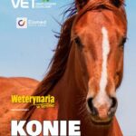 Konie Vademecum — okładka e-booka