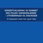 Konseptualisering av rommet hos polske norskinnlærere - utfordringer og diagnoser — okładka e-booka
