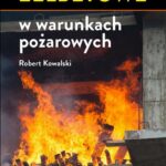Konstrukcje żelbetowe w warunkach pożarowych — okładka e-booka