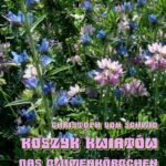 Koszyk kwiatów - Das Blumenkorbchen — okładka e-booka