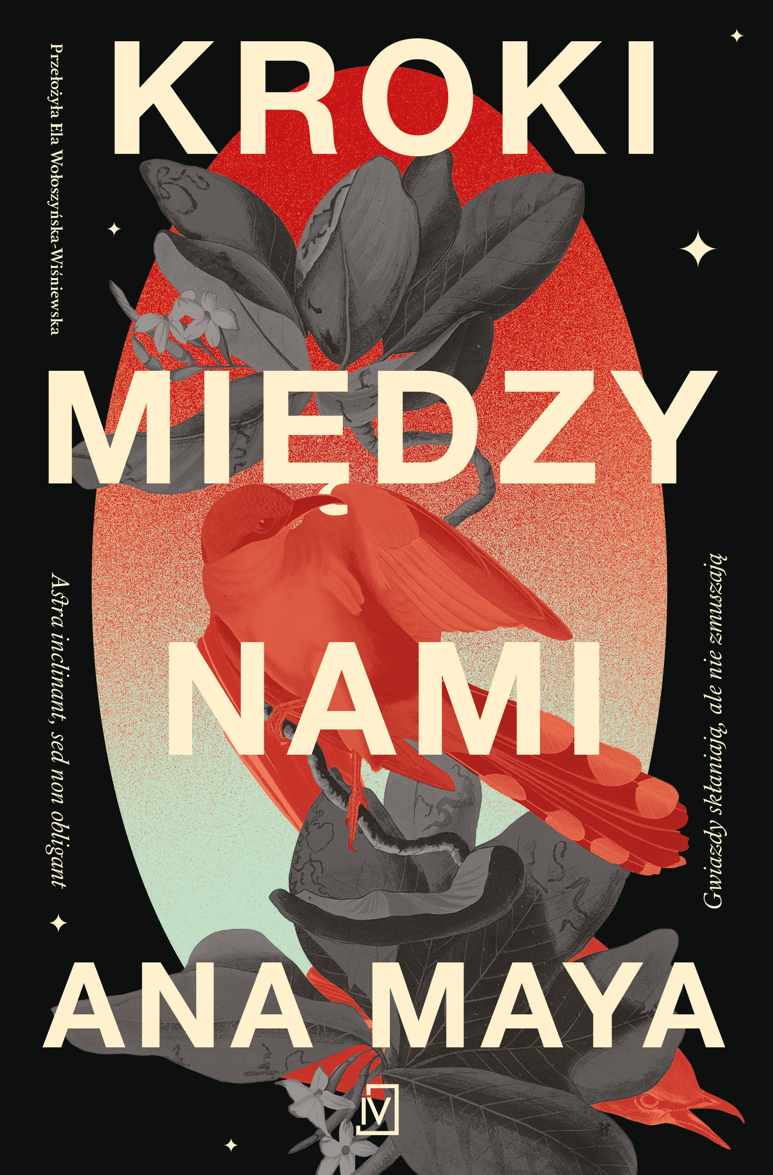 Tytuł: Kroki między nami
Autor: Ana Maya
Wydawnictwo: Czwarta Strona
Formaty: EPUB, MOBI
