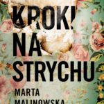 Kroki na strychu — okładka e-booka