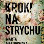 Kroki na strychu — okładka e-booka