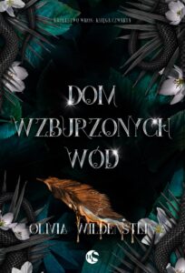 Królestwo Wron (#4). Dom wzburzonych wód — okładka e-booka