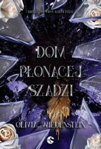 Królestwo Wron (#5). Dom płonącej szadzi — okładka e-booka