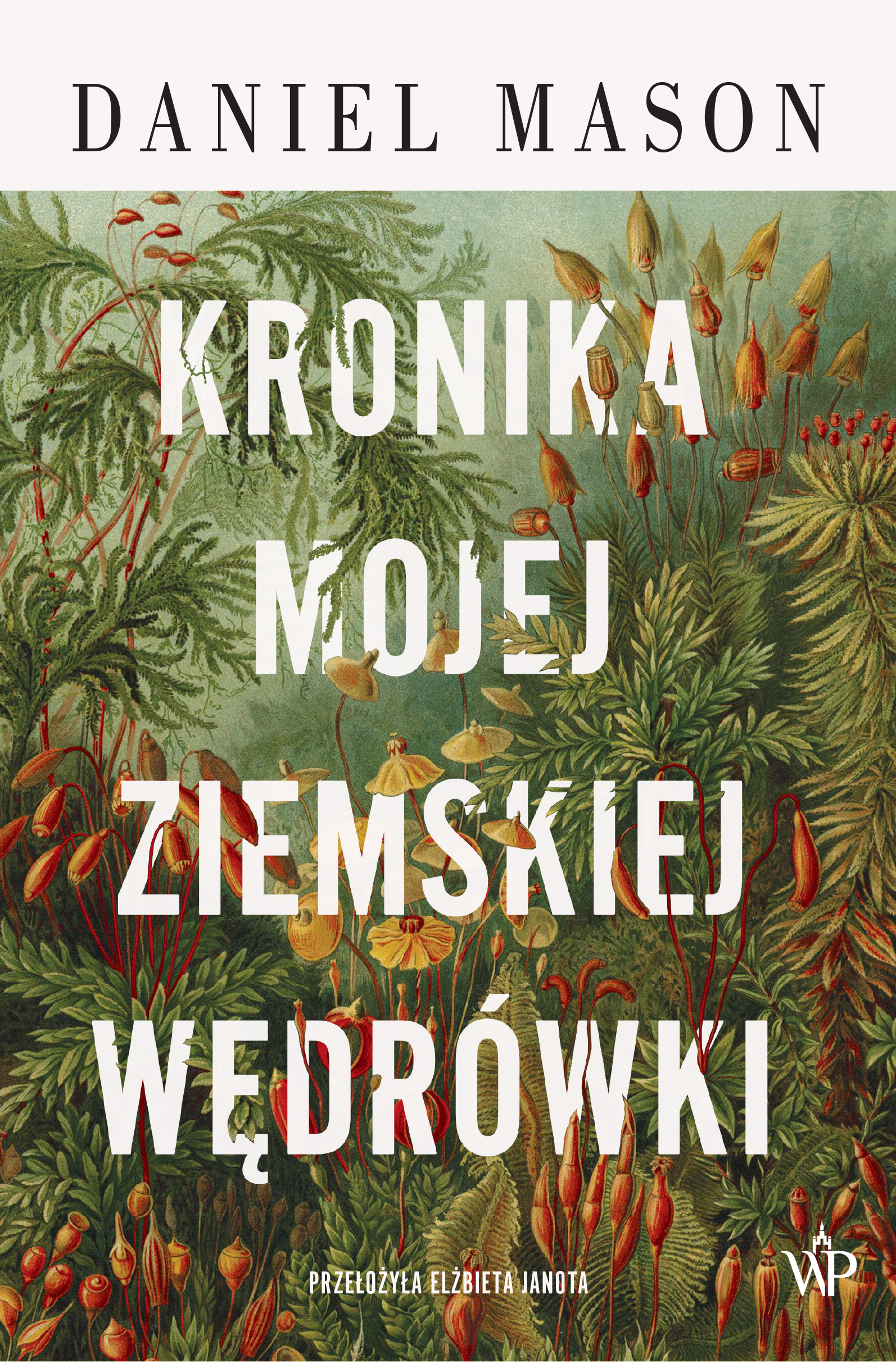 Tytuł: Kronika mojej ziemskiej wędrówki
Autor: Daniel Mason
Wydawnictwo: Wydawnictwo Poznańskie
Formaty: EPUB, MOBI