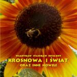 Tytuł: Krosnowa i świat oraz inne nowele
Autor: Władysław Stanisław Reymont
Wydawnictwo: Armoryka
Formaty: MOBI, EPUB