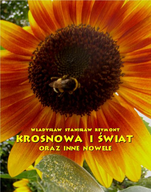 Tytuł: Krosnowa i świat oraz inne nowele
Autor: Władysław Stanisław Reymont
Wydawnictwo: Armoryka
Formaty: MOBI, EPUB