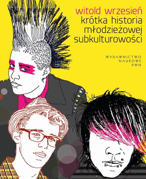 Krótka historia młodzieżowej subkulturowości — okładka e-booka