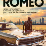Tytuł: Kryptonim Romeo
Autor: Wojciech Nerkowski
Wydawnictwo: Wydawnictwo Lira
Formaty: EPUB, MOBI