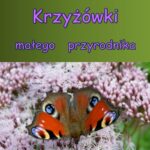 Tytuł: Krzyżówki małego przyrodnika
Autor: Katarzyna Michalec
Wydawnictwo: Wydawnictwo e-bookowo
Formaty: PDF