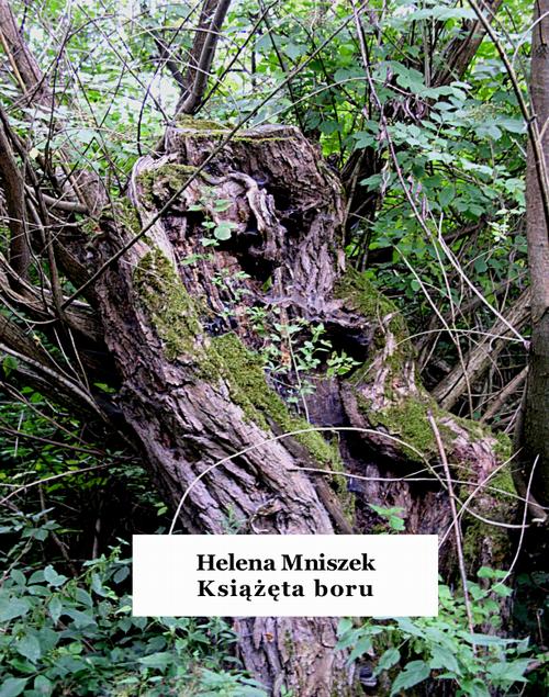 Tytuł: Książęta boru
Autor: Helena Mniszek
Wydawnictwo: Armoryka
Formaty: EPUB, MOBI