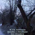 Tytuł: Książka z obrazkami bez obrazków
Autor: Hans Christian Andersen
Wydawnictwo: Armoryka
Formaty: EPUB, MOBI