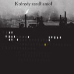 Tytuł: Którędy szedł anioł
Autor: Jan Balaban
Wydawnictwo: Afera
Formaty: MOBI, EPUB