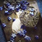 Tytuł: Kufer tajemnic
Autor: Anna Bichalska
Wydawnictwo: HarperCollins Polska
Formaty: MOBI, EPUB