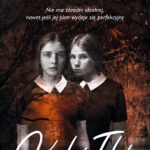Tytuł: Kukiełki
Autor: Natasza Socha
Wydawnictwo: Purple Book
Formaty: EPUB, MOBI