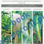 Tytuł: Kukurydza - chwasty, choroby, szkodniki, niedobory
Autor: Paweł Bereś, Piotr Szulc, Robert Idziak, Łukasz Sobiech, Łukasz Siekaniec, Kamil Kolan, Adam Wachowski, Sławomir Drzewiecki
Wydawnictwo: Agro Wydawnictwo
Formaty: PDF