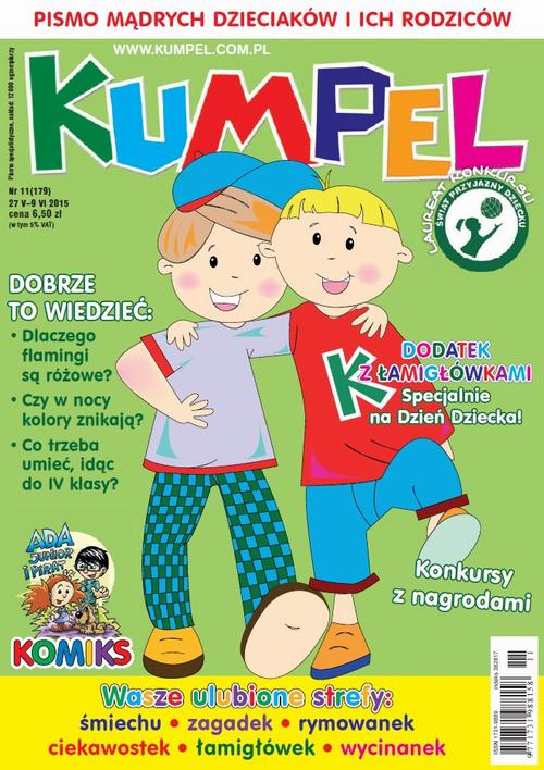 Kumpel 11/2015 — okładka wydania