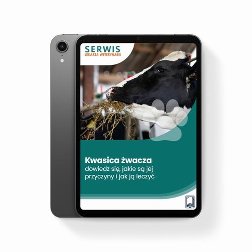 Kwasica żwacza – dowiedz się, jakie są jej przyczyny i jak ją leczyć — okładka