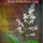 Tytuł: Kwiat Diabelskiej Góry
Autor: Katarzyna Enerlich
Wydawnictwo: MG
Formaty: MOBI, EPUB