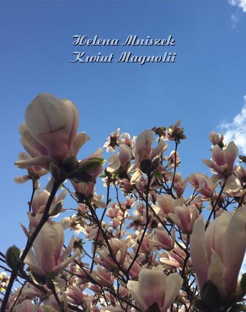 Tytuł: Kwiat magnolii
Autor: Helena Mniszek
Wydawnictwo: Armoryka
Formaty: EPUB, MOBI