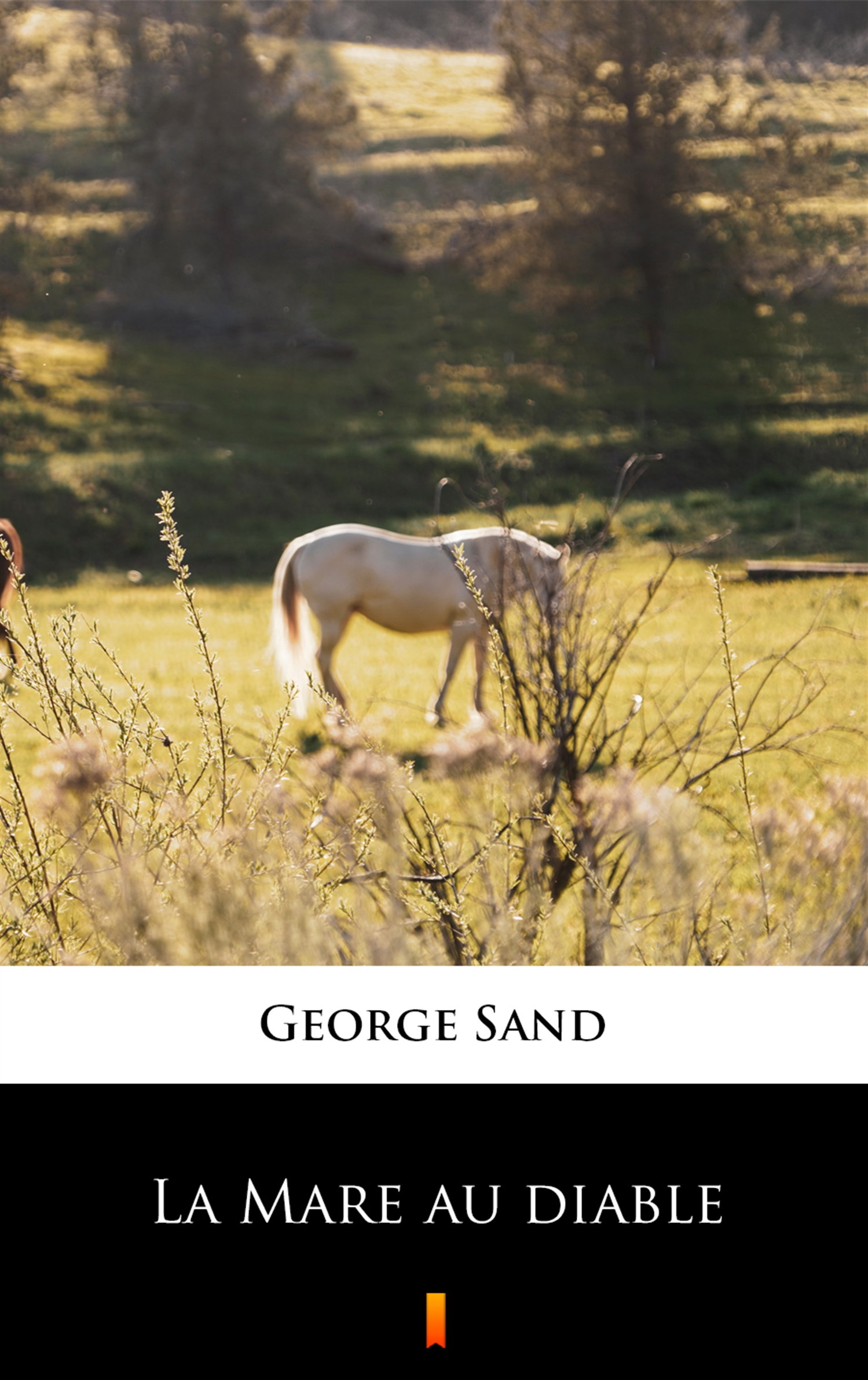 Tytuł: La Mare au diable
Autor: George Sand
Wydawnictwo: KtoCzyta.pl
Formaty: EPUB, MOBI